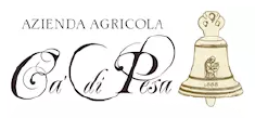 Cà di Pesa logo