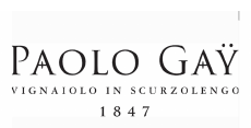 Paolo Gay logo